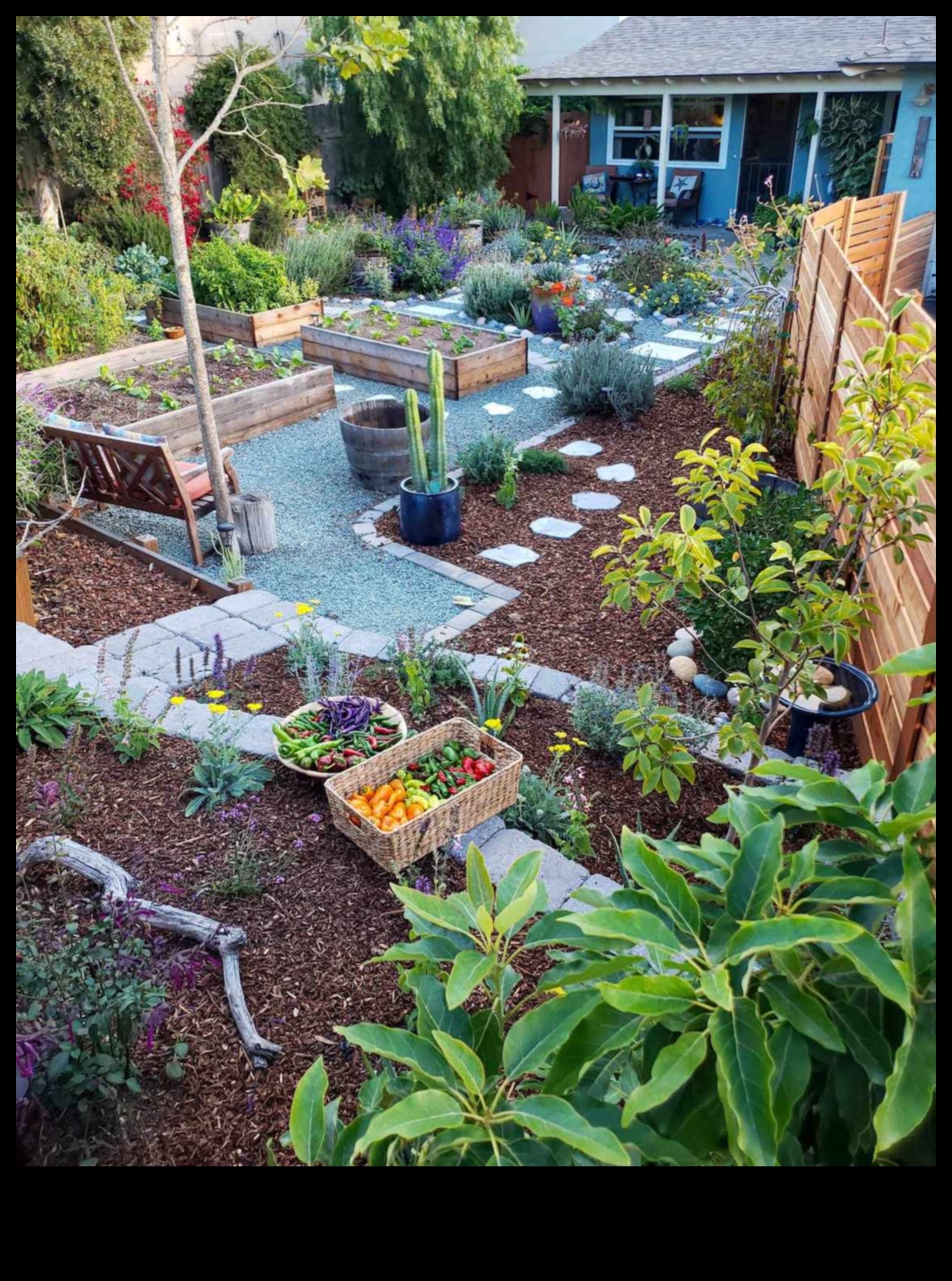 نزوة في بلوم: مشاريع حديقة ممتعة وفريدة من نوعها DIY