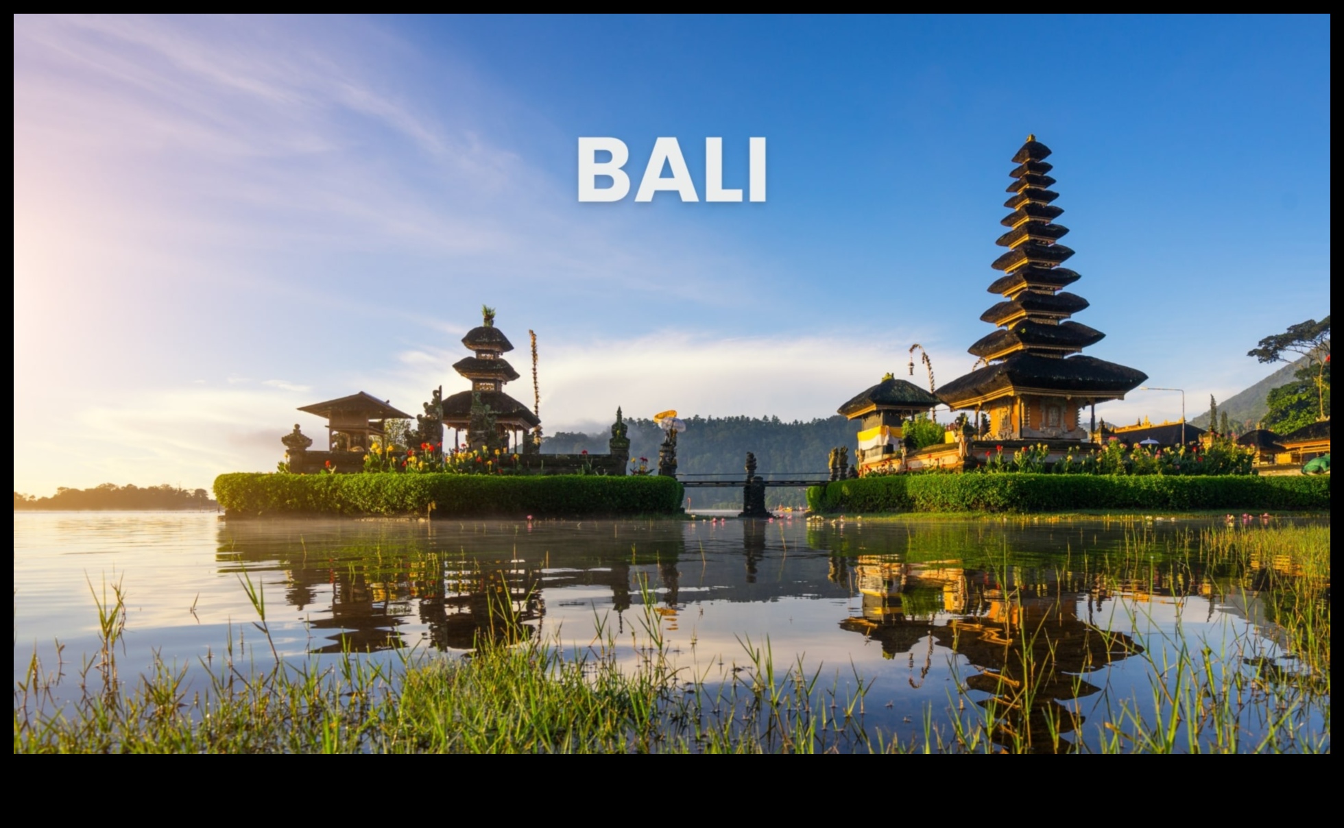 النعيم النباتي: ارفع ذوقك مع العجائب التي تعمل بالطاقة النباتية