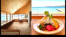 النعيم النباتي: ارفع ذوقك مع العجائب التي تعمل بالطاقة النباتية