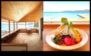 النعيم النباتي: ارفع ذوقك مع العجائب التي تعمل بالطاقة النباتية