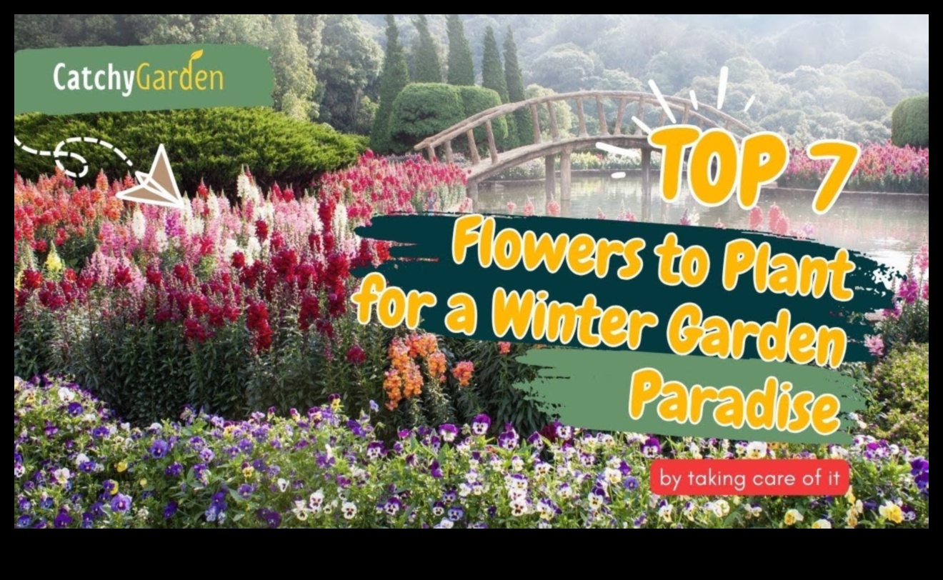 كشف النقاب عن أسرار الطبيعة: نصائح لحديقة مزدهرة