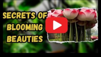 كشف النقاب عن أسرار الطبيعة: نصائح لحديقة مزدهرة