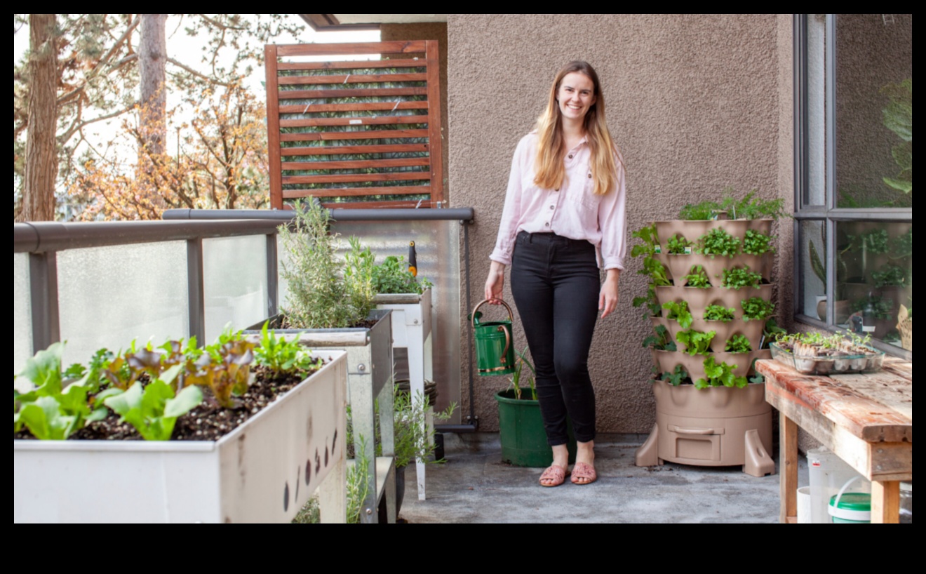 بلوسوم بليس: أعجوبة تصنعها بنفسك لملاذ حديقة مذهل