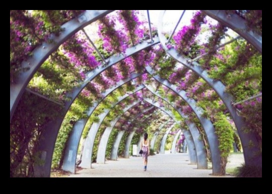 بلوسوم بليس: أعجوبة تصنعها بنفسك لملاذ حديقة مذهل