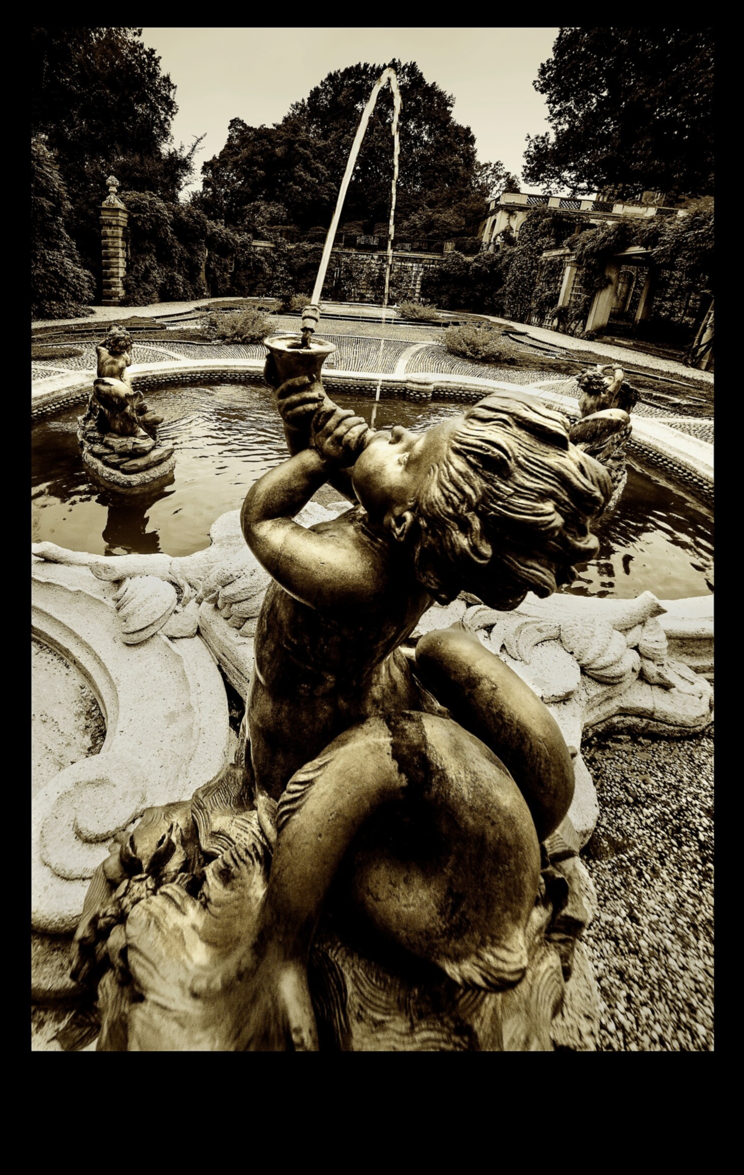 الجمال النحتي: ارفع حديقتك بالنعيم الفني