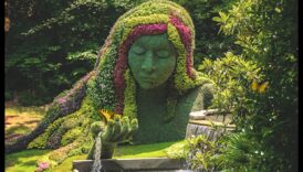 ارفع درجة حديقتك بشكل منحوت على جانب النعيم الفني 4 الجمال النحتي: ارفع حديقتك بالنعيم الفني