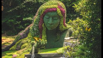 الجمال النحتي: ارفع حديقتك بالنعيم الفني