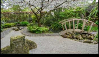 جسور الطحلب ومسارات زن: سحر الحديقة اليابانية