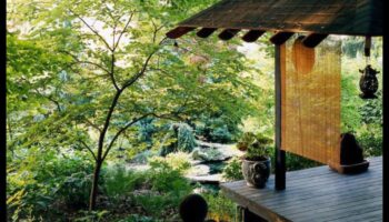 جمال الخيزران: البستنة اليابانية مع النعمة