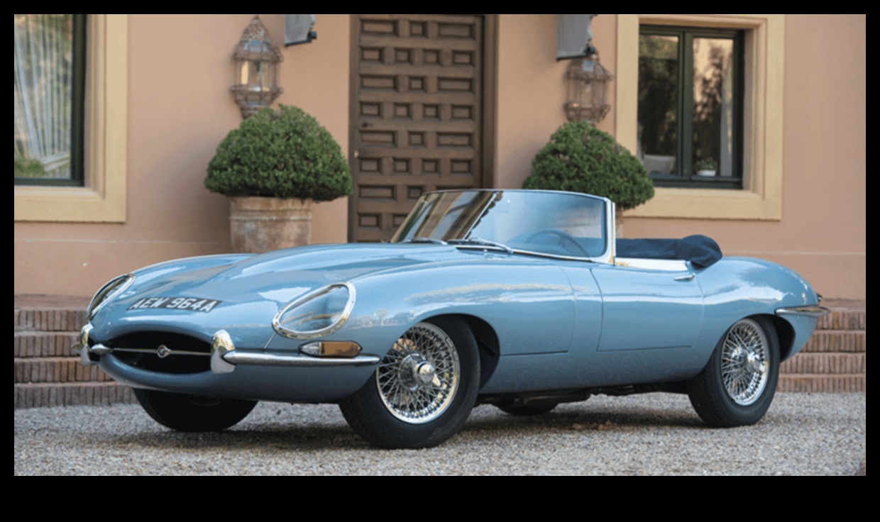 الأساطير الفاخرة: الاحتفال بالجاذبية الخالدة للمركبات المميزة