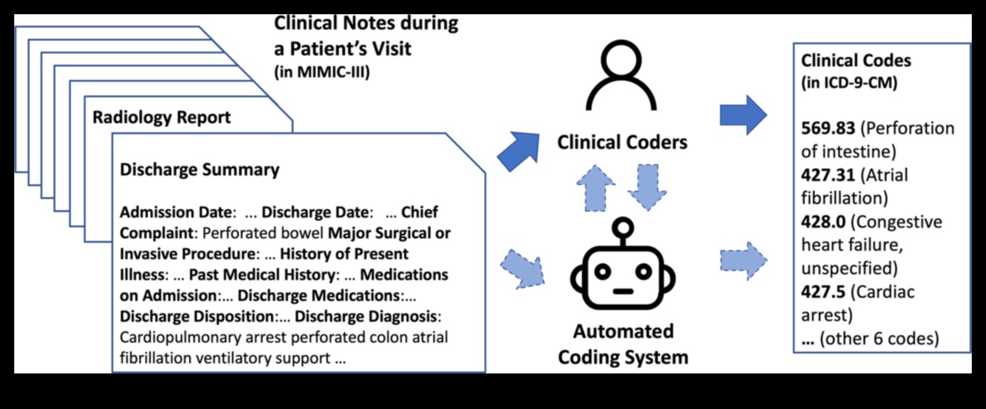 فن كود التكنولوجيا الحيوية: إتقان حرفة استكشاف الصحة الإبداعية