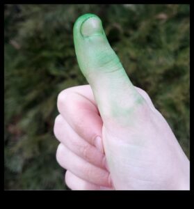 جواهر الإبهام الخضراء: أعجوبة DIY لحديقتك المسحورة