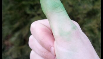 جواهر الإبهام الخضراء: أعجوبة DIY لحديقتك المسحورة