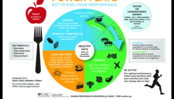قوة اللوحة: تعظيم الصحة من خلال استشارات التغذية الفعالة