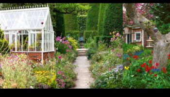 أزهار ريفية: التنقل في نزوة حدائق الكوخ