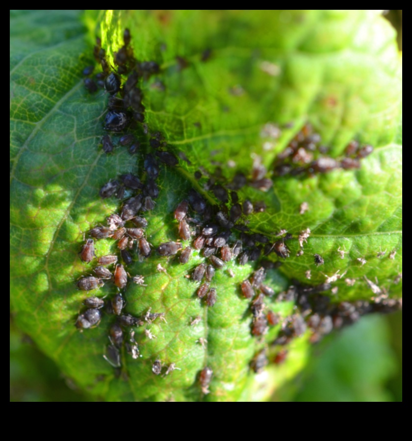 ذبح غزاة الحديقة: دليلك لمقاومة الآفات