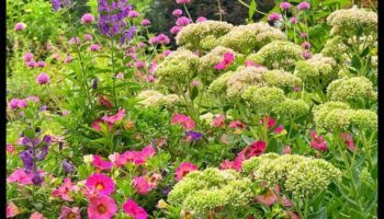 ذبح غزاة الحديقة: دليلك لمقاومة الآفات