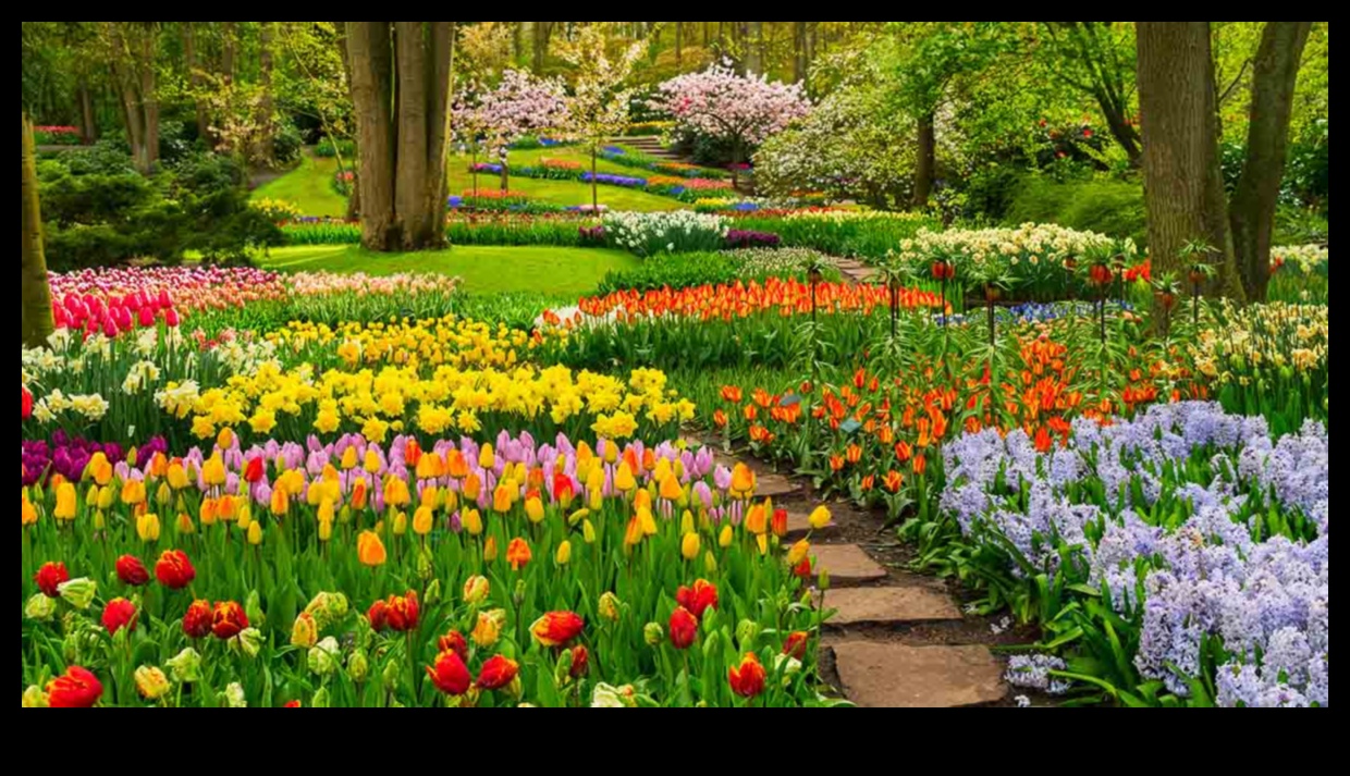 الأصدقاء يزهرون: تعزيز حديقتك مع الزراعة المصاحبة