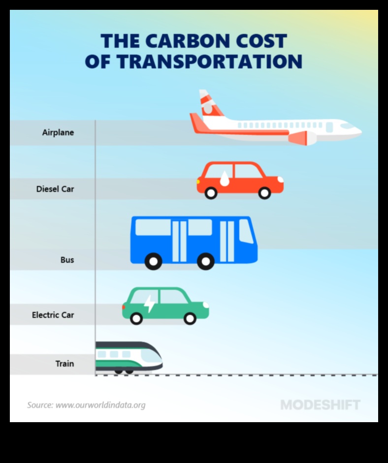التنقلات الصديقة للبيئة: مساهمة وسائل النقل العام في الحياة المستدامة