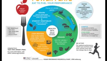 لوحة الطاقة: تسخير العناصر الغذائية لتكون أقوى