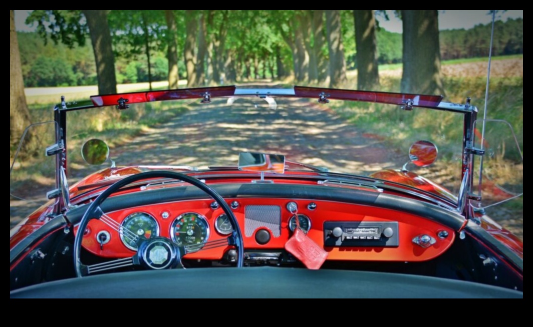 الجمال الخالد: استكشاف عالم السيارات الكلاسيكية