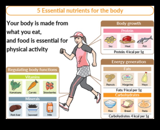 العناصر الغذائية الأساسية للحياة النشطة: أشعل نمط حياتك