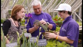 ازرع، أزهر، ازدهر كيف سوف لورش العمل الجاد أن تساعدك في التوسع كشخص 4 ازرع، ازهر، ازدهر: القوة التحويلية لورش العمل