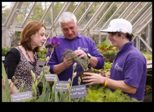 ازرع، ازهر، ازدهر: القوة التحويلية لورش العمل