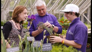 ازرع، ازهر، ازدهر: القوة التحويلية لورش العمل