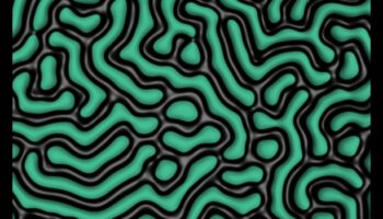 مسرات الدقة الديناميكية: استكشاف عالم الفنون الإبداعية وتكنولوجيا النانو