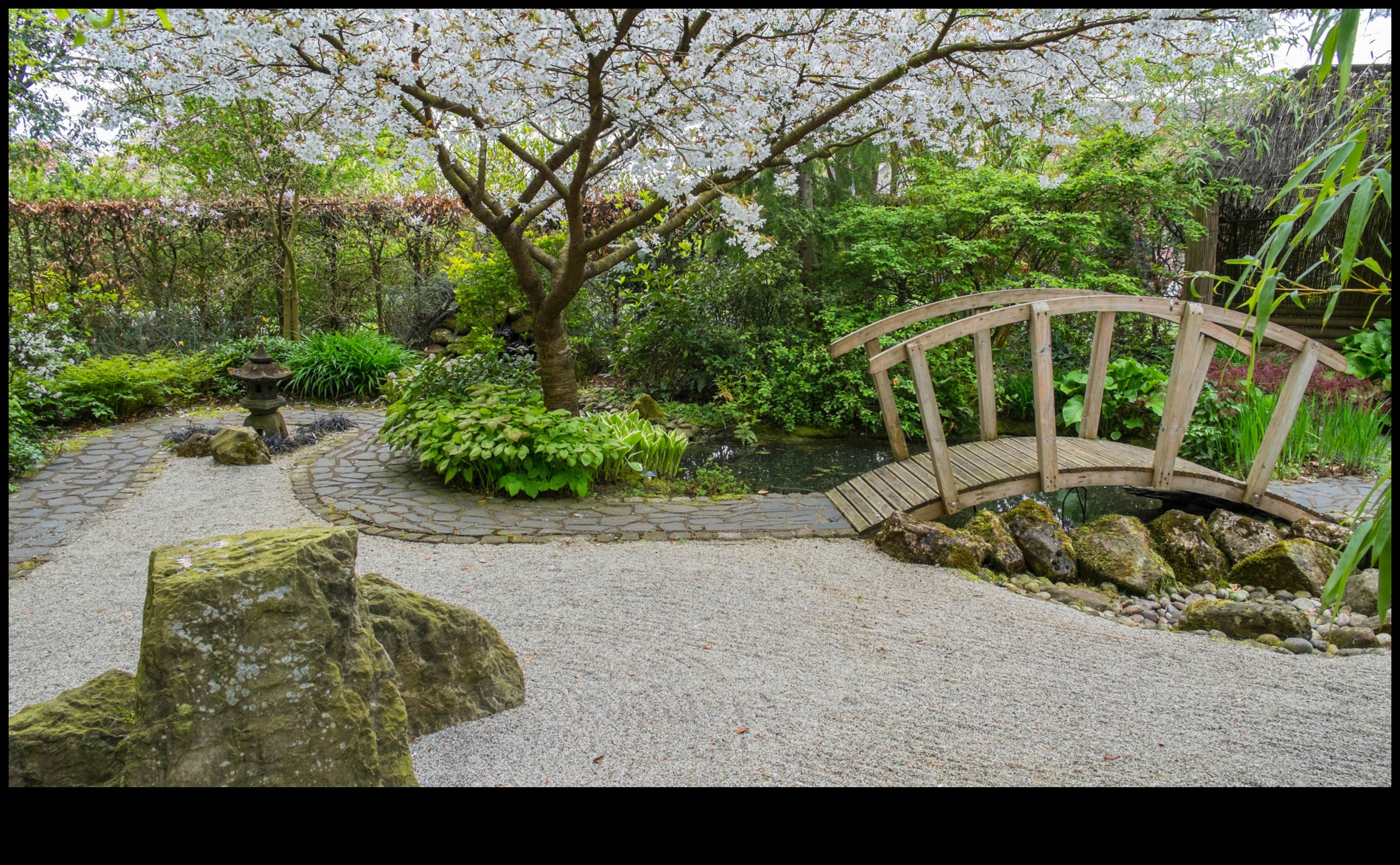 جسور الطحلب ومسارات زن: سحر الحديقة اليابانية